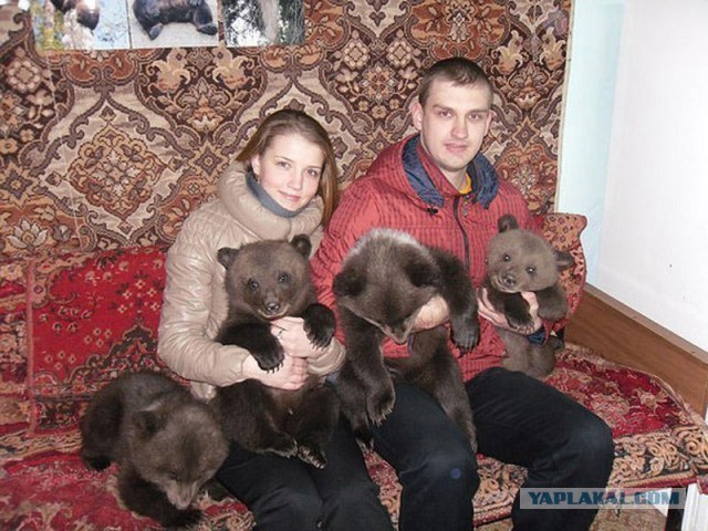 А ты не забыл про домашнего медведя?
