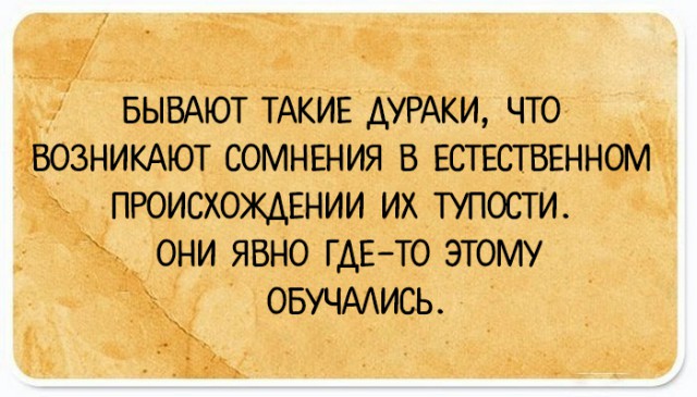 35 юмористических открыток с философскими рассуждениями о жизни