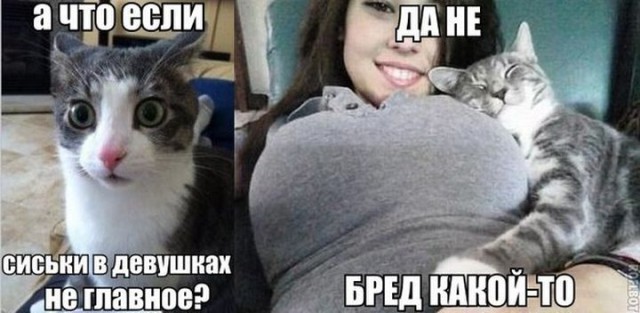 Ужасы и приколы из соцсетей 18+