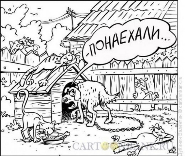 Такое время — страшно за собак