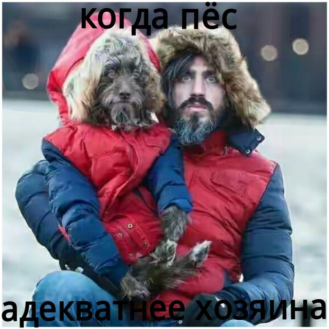 Подборка интересных и веселых картинок