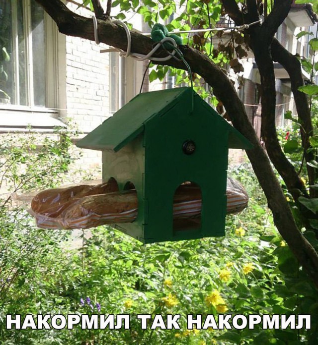 Подборка разного из сети