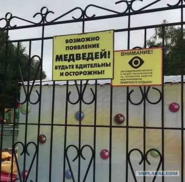 Большое Васюганское болото - природный феномен, не имеющий аналогов в мире!