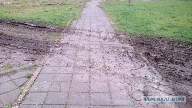 Местные власти смогут штрафовать за парковку во дворах