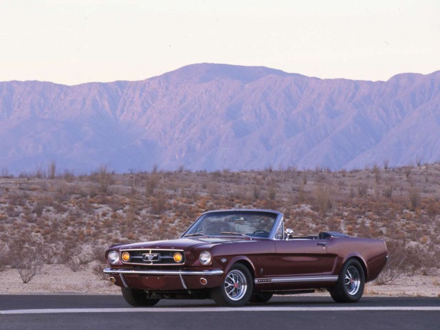 ДР mustang club