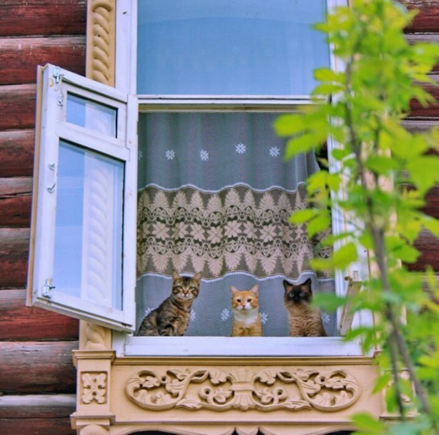 Картинок всяких разных