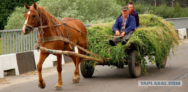 30 компаний отказались посещать Московский автосалон