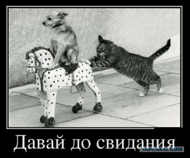 Глацких пожаловалась на травлю и отказалась уходить в отставку