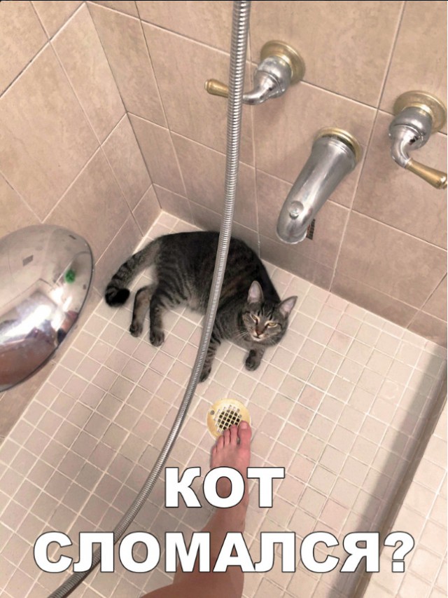 Немного милоты