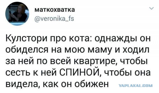 Немного картинок в эту субботу