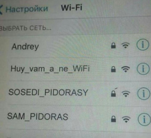 Соседи-чудаки