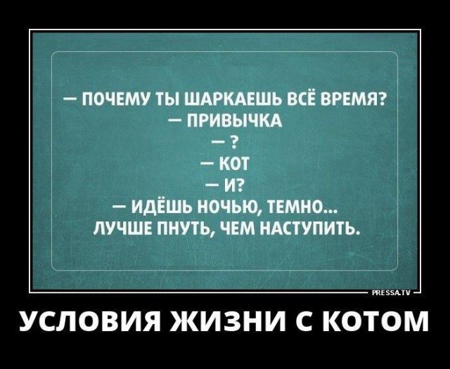 Немного картинок в эту субботу