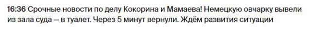 Чемпионат России по футболу 2018-2019( часть IX)