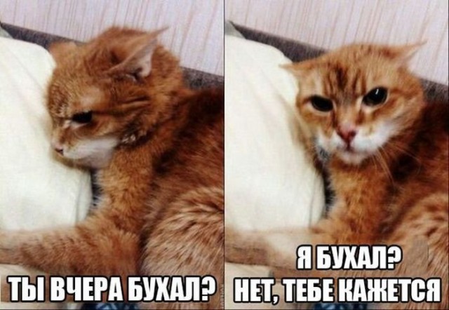 Небольшая субботняя алкоподборка