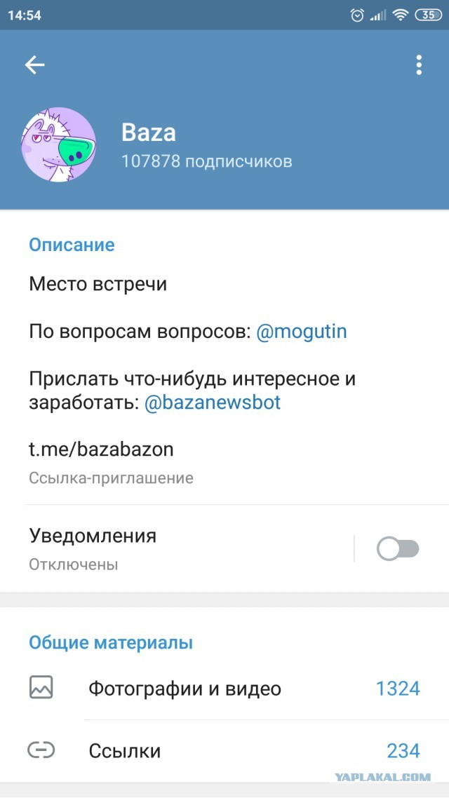 Помогите вернуть кота! Приют "Преданное сердце" украл кота и не отдает!