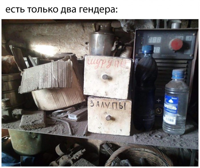 Бредзона 08.02.2020