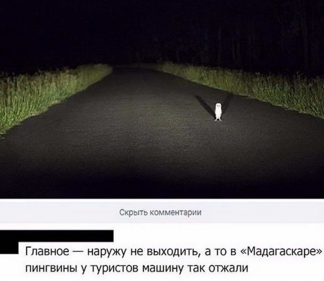 Картинки с надписями и без