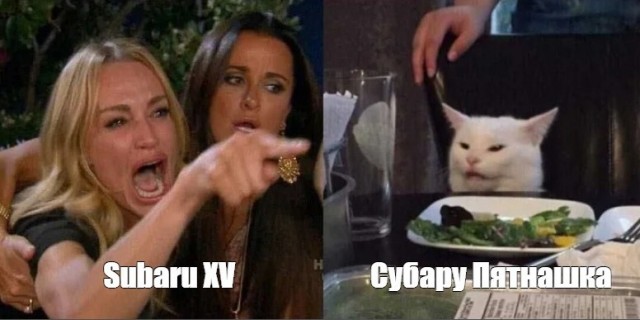 Прошёл целый год! А они всё орут на бедного котика