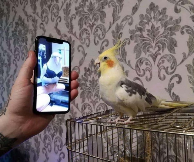 Субботняя солянка