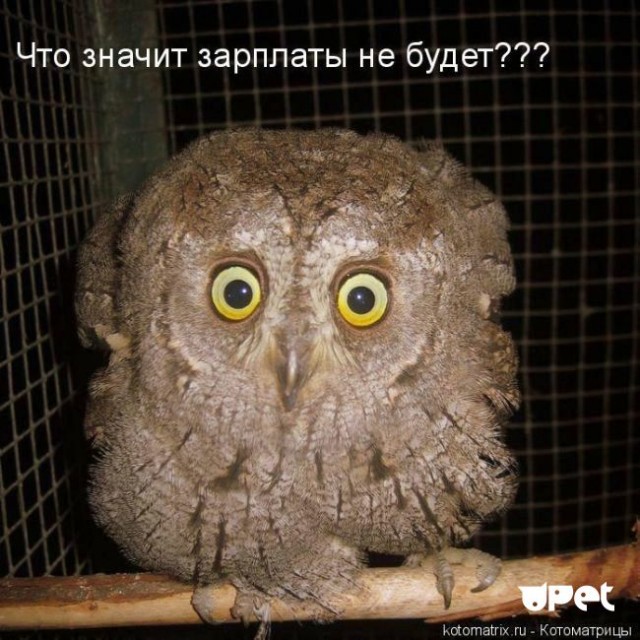 Фотосалат и картинки