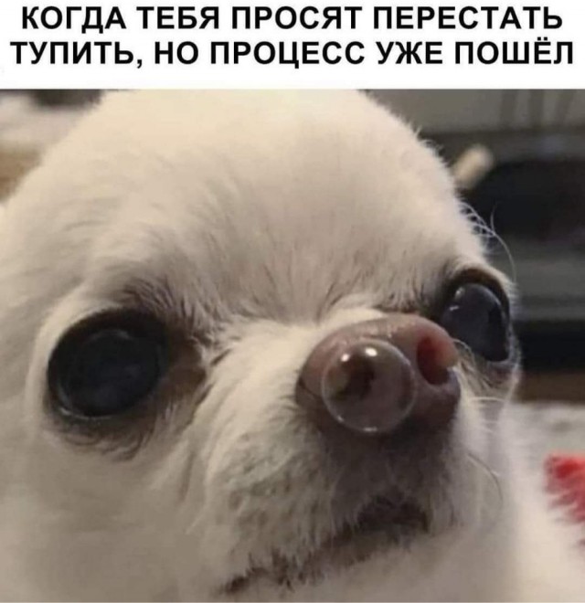 Картинки разные 12.02.21