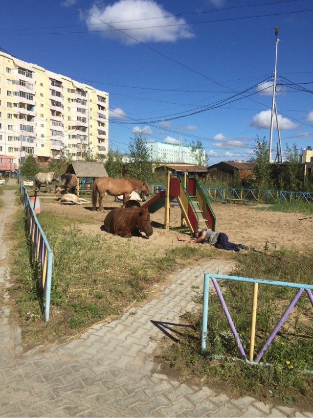 Эстетика е*еней 2