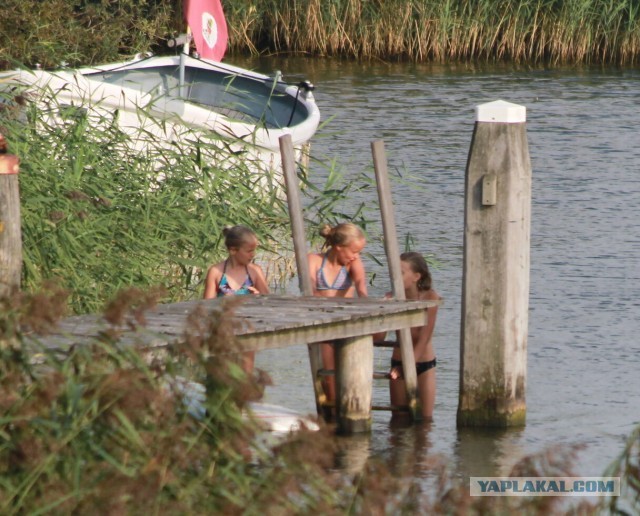 16 деталей жизни голландцев, которые доказывают, что между нашими странами — пропасть