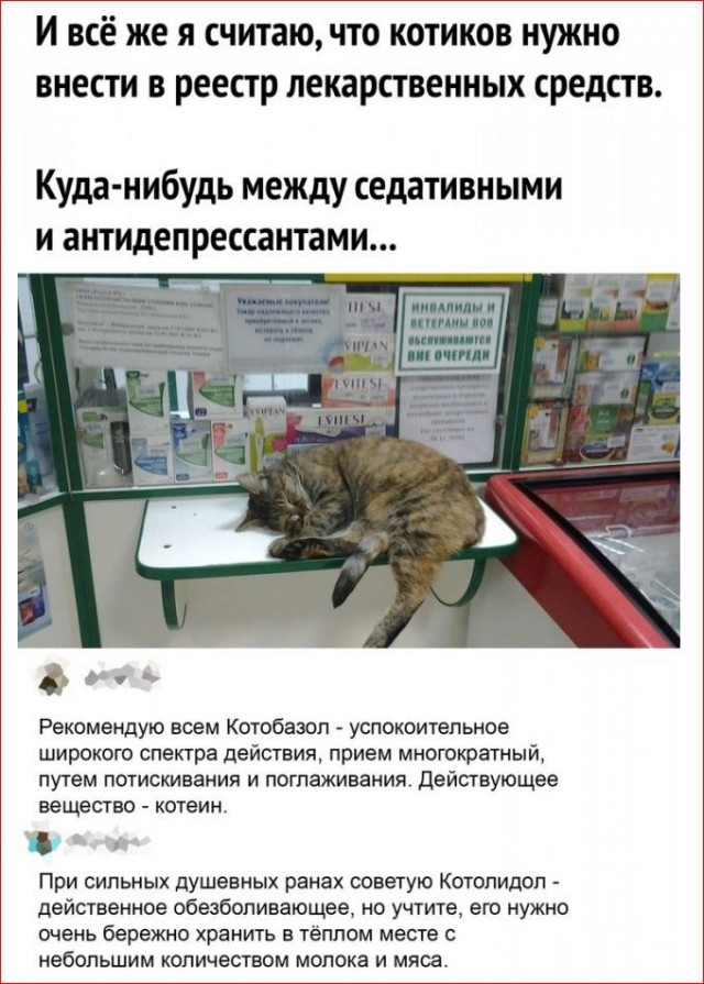 Прикольные и просто красивые картинки 10.03.2011