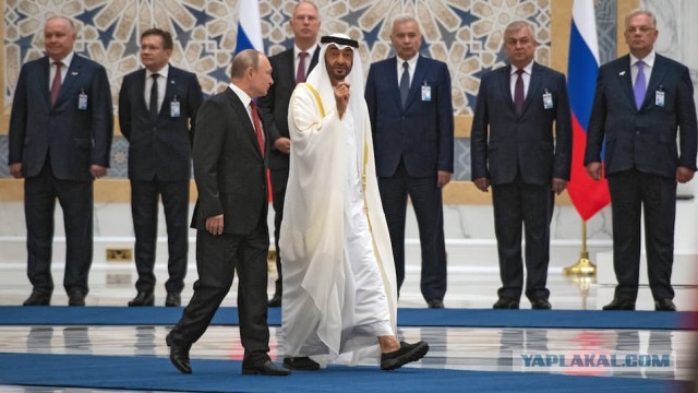 Эксперт объяснил оскорбительные ошибки украинской делегации в Катаре