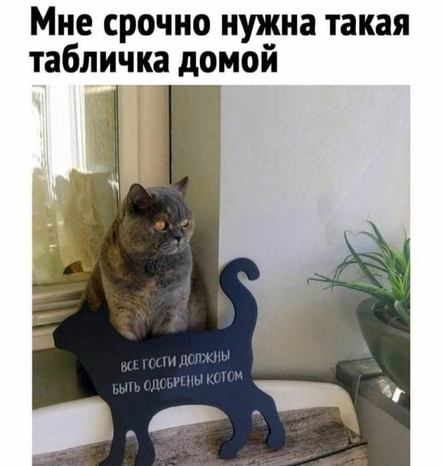 Так себе картинки 18.12.21