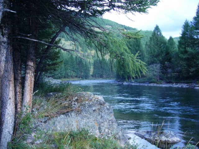 Самые захватывающие приключения в мире