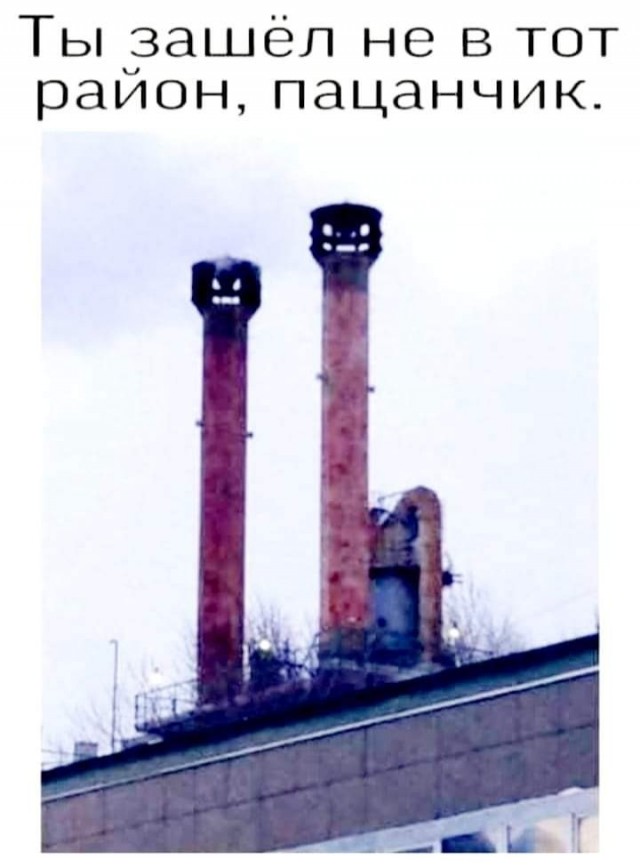 Забавные и веселые картинки