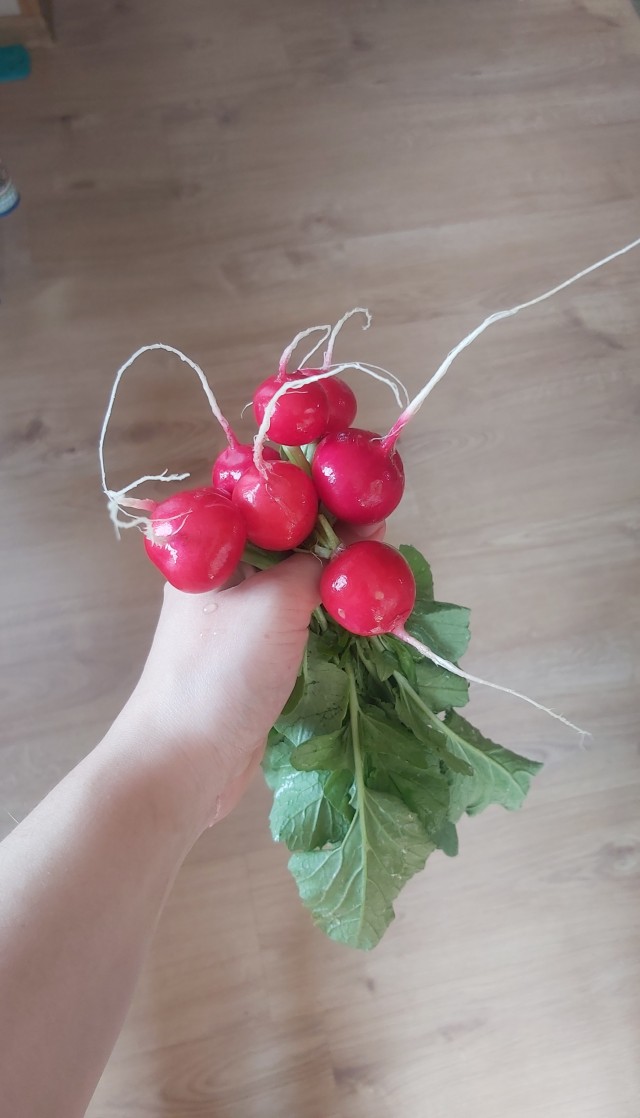 Подарок в день рождения