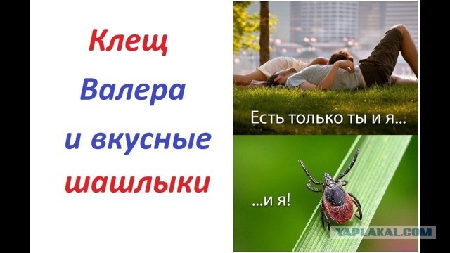 Валера и Эльвира (различия)