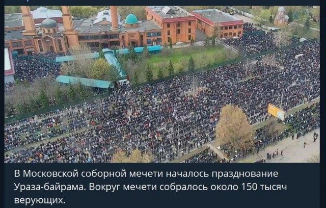 Пандемия. Коронавирус и съехавшие крыши. Россия и мир. Часть 33.