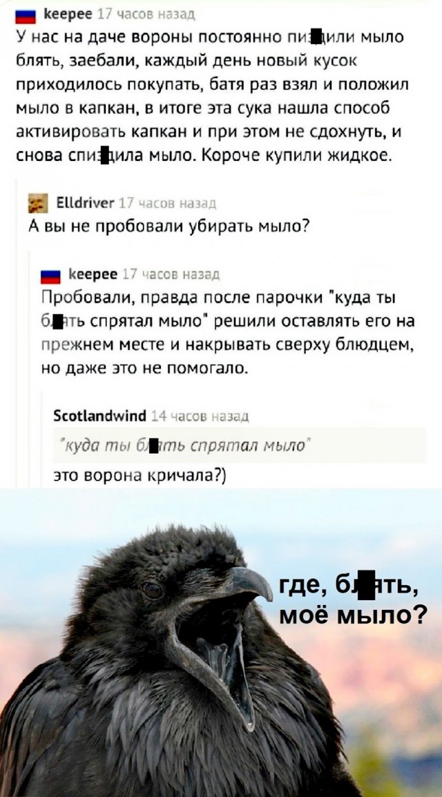 Картинки с надписями и всякие жизненные фразы