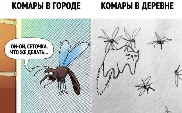 Приезжайте в Северобайкальск, здесь комаров нет