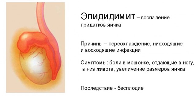 Пандемия съехавших крыш - разновидности болезни. Россия и мир. Часть 37