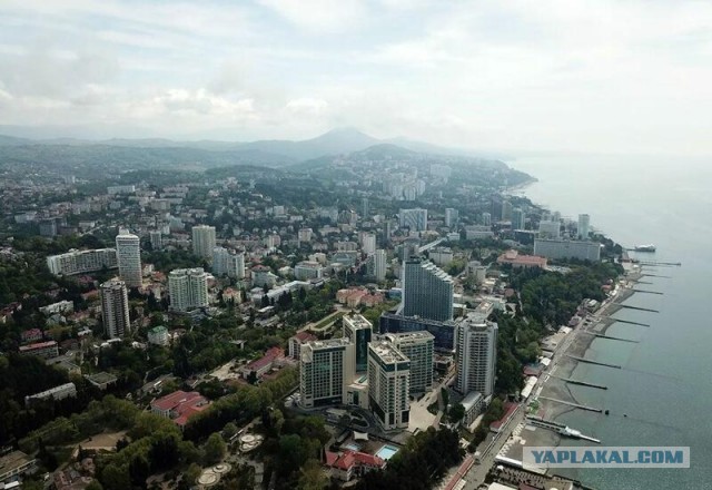 В Сочи начался разгром армянской преступной сети