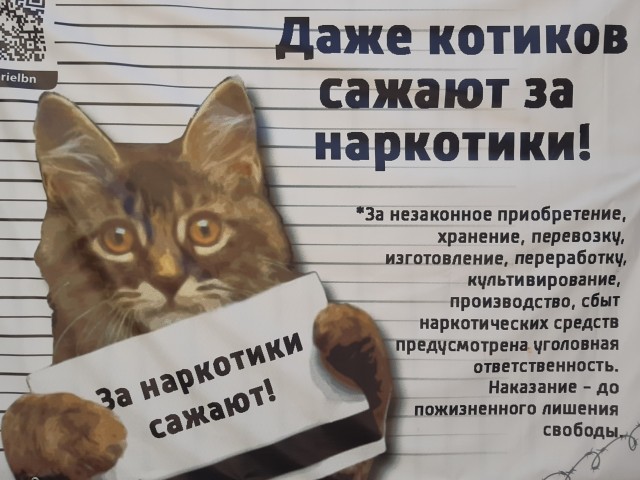 Санки
