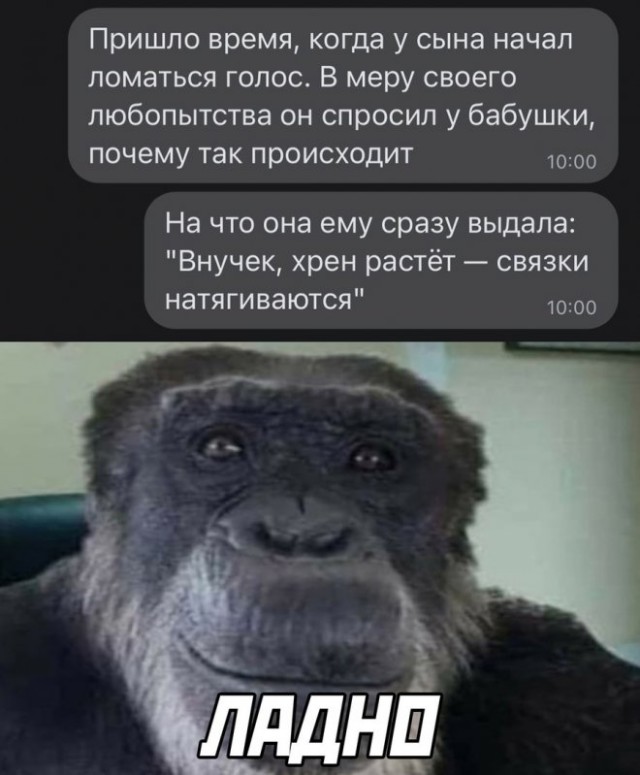 Картинки и мемы для настроения - 009