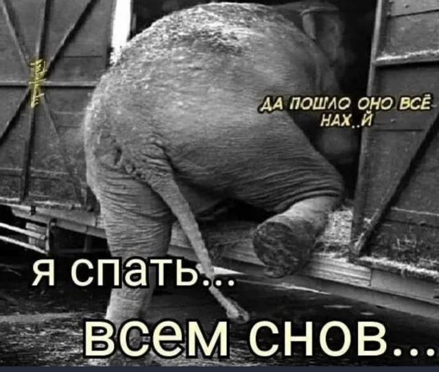 Пандемия съехавших крыш - разновидности болезни. Россия и мир. Часть 42.