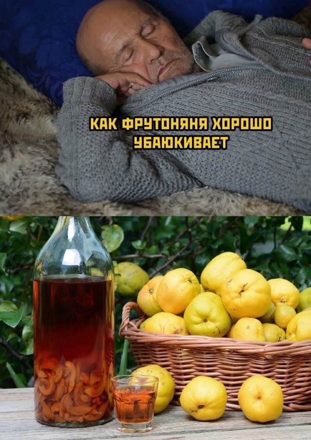 Так себе картинки 28.09.22