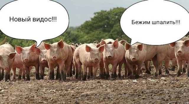 И опять новенькое из Китая