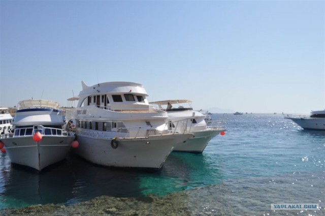 Как я ездил в Египет