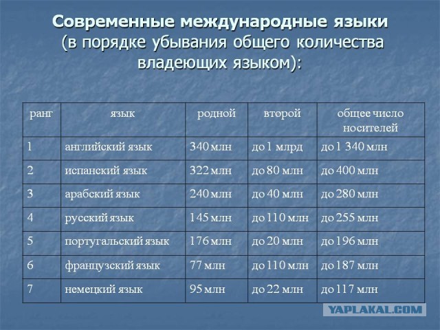 Запертых на круизном судне беженцев с Украины разозлил русскоязычный экипаж
