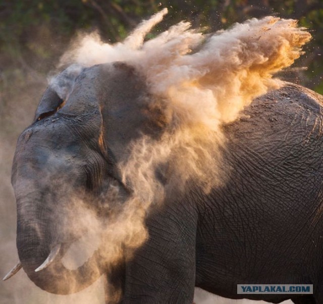 Стас Михайлов может идти на пенсию