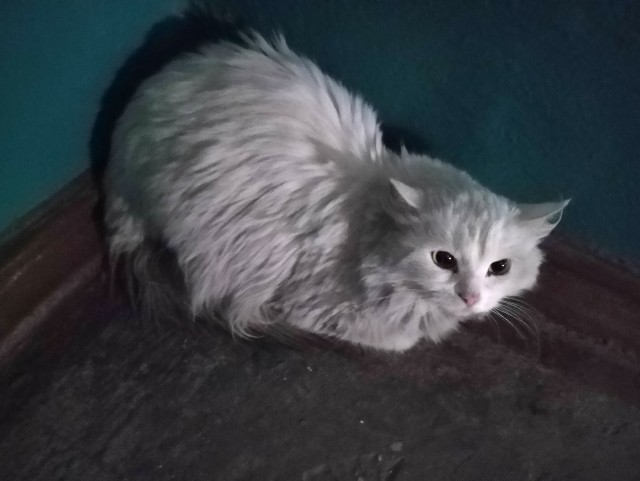 Не бросайте их