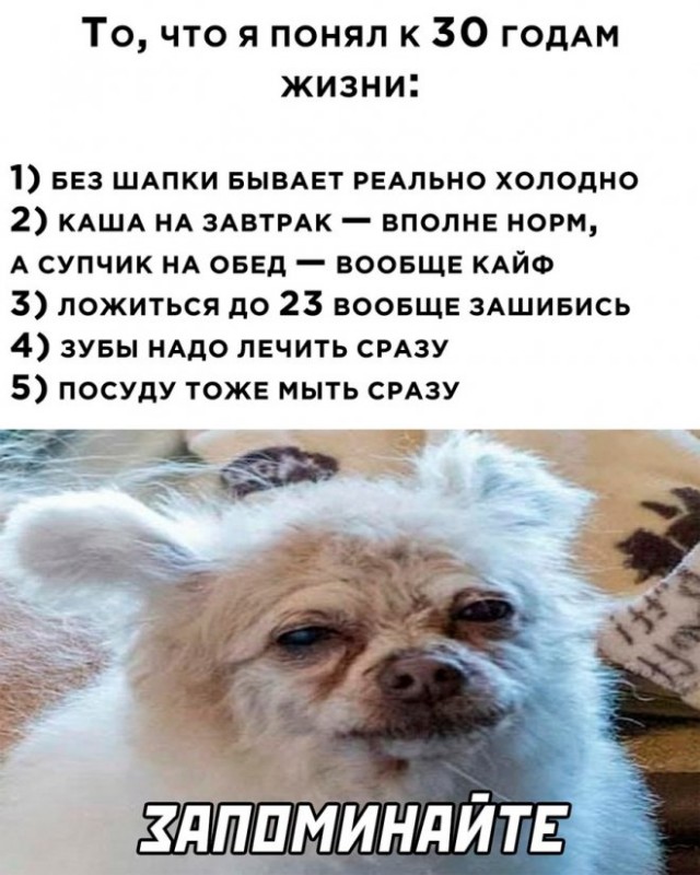 Картинки с надписями для поднятия настроения
