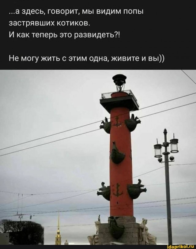 Победная поступь идиотизма по планете – том 9